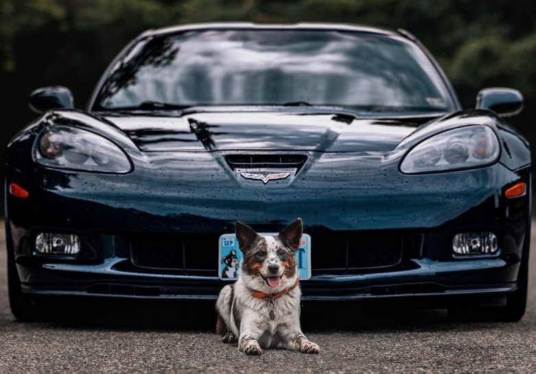 "Записки на манжетах"