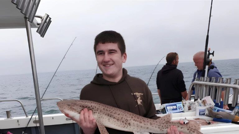 Арион Куртаж — хайп, хайп и еще раз хайп