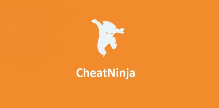 Cheat Ninja — империя, построенная на читерстве