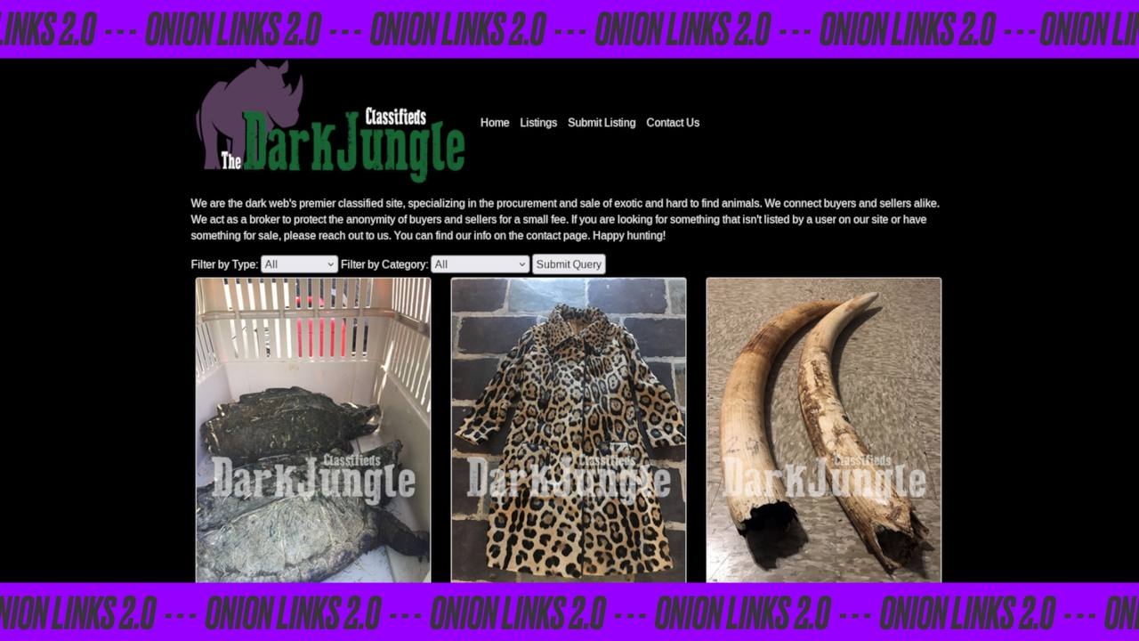 DarkJungle — браконьеры даркнета