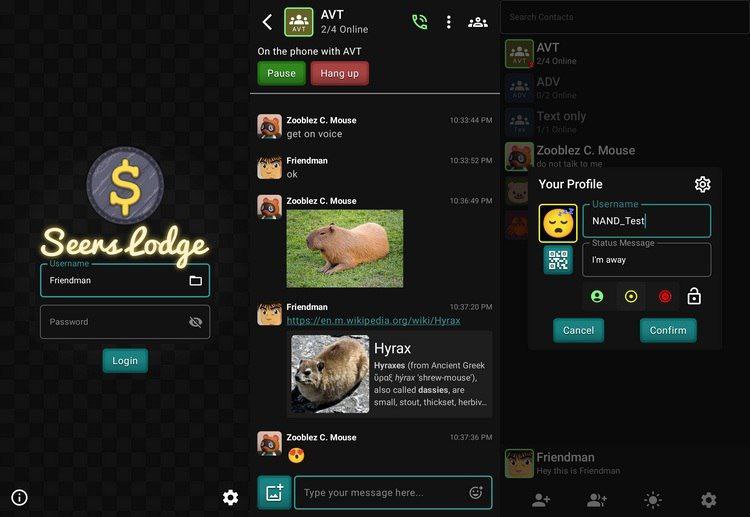 Seers Lodge — деTOX мессенджер